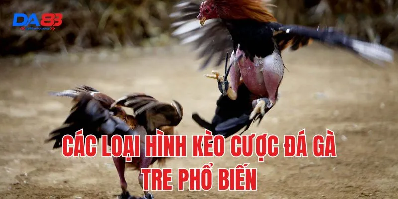 Các loại hình kèo cược đá gà tre phổ biến