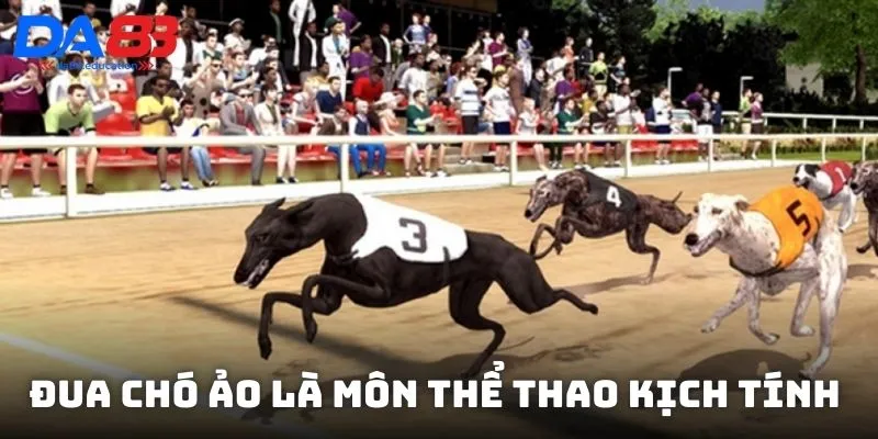 Đua chó ảo là môn thể thao kịch tính với những cuộc đua hấp dẫn