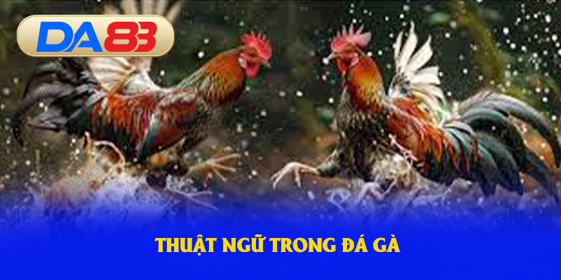 Thuật ngữ trong đá gà